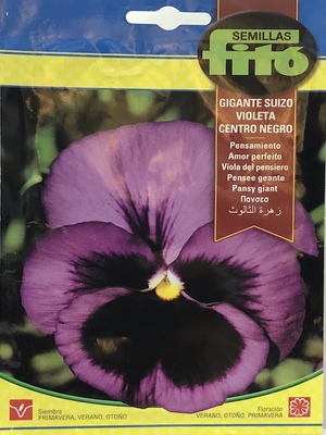 PENSAMIENTO GTE. SUIZO VIOLETA C/NEGRO