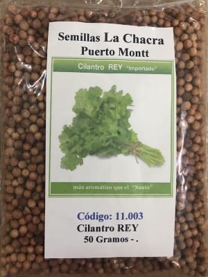 Cilantro Rey ( El más Aromático) 50 Gramos