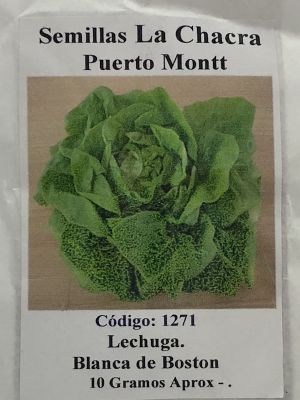 Lechuga Boston 10 Gramos