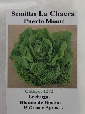 Lechuga Boston 25 gramos