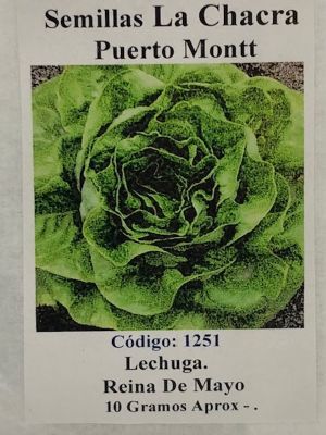 LECHUGA REINA DE MAYO 10 Gramos