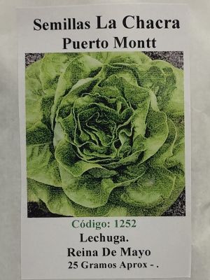 LECHUGA REINA DE MAYO 25 Gramos
