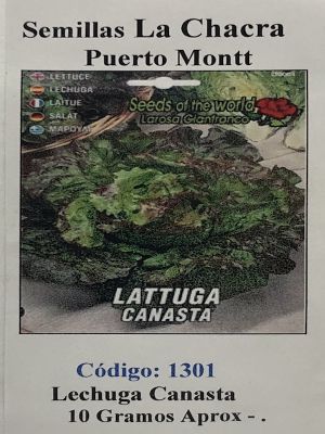 Lechuga la Canasta o Sierra 10 Gramos