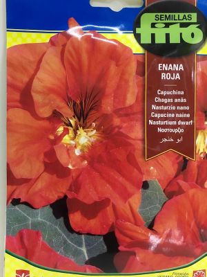 CAPUCHINA ENANA ROJA