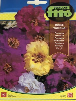 PORTULACA Fito DOBLE VARIADA