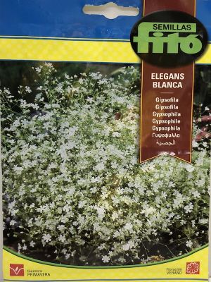 GIPSOFILA BLANCA ELEGANTE ANUAL