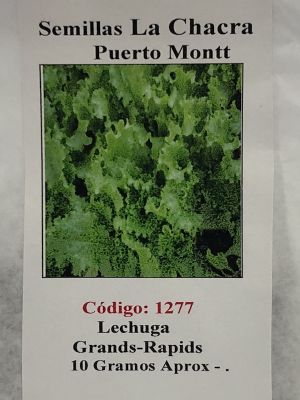 Lechuga Grand-Rapids 10 Gramos