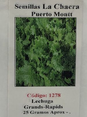 Lechuga Grands-Rapids 25 Gramos