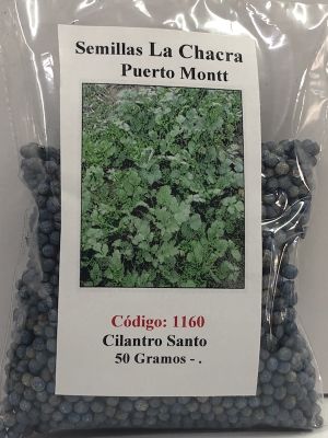 Cilantro Santo 50 Gramos.