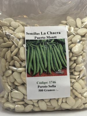 Poroto Verde Sofía  500 GRAMOS
