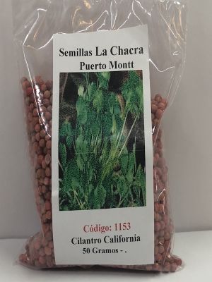 Cilantro California Long- Standing 50 Gramos