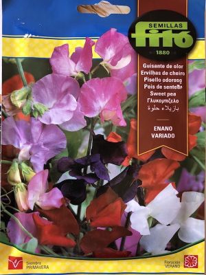GUISANTE DE OLOR ENANO VARIADO