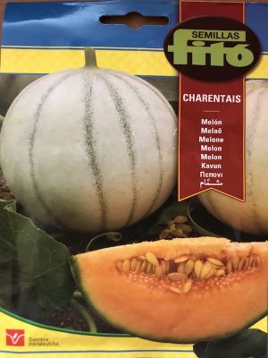 MELON FITO CANTALOUP CHARENTAIS