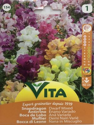 ANTIRRINO PERRITOS ENANO