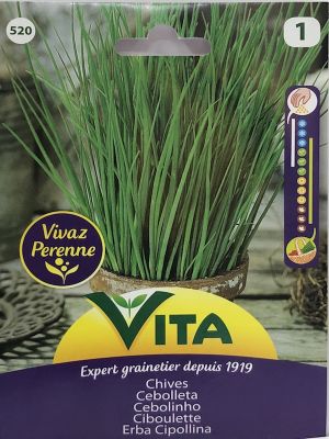 CIBOULETTE VITA