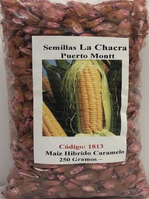 Caramelo Maíz Híbrido dulce de Mesa. 250 Gramos