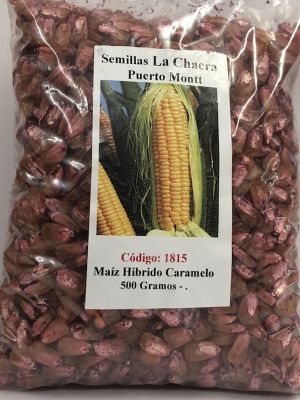 Caramelo Maíz Híbrido dulce de Mesa. 500 Gramos
