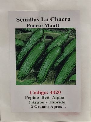 Pepino Arabe Híbrido 2 Gramos