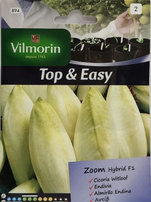 Endivia  Híbrida  F-1 Cicoria