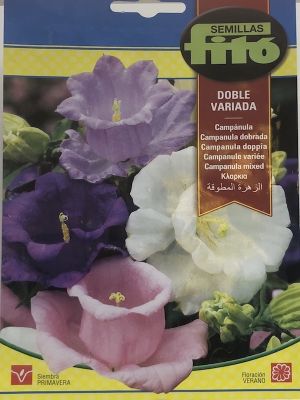 CAMPANULA DOBLE VARIADA