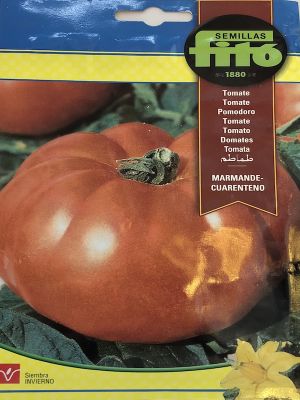 TOMATE MARMANDE CUARENTENO, ALTO