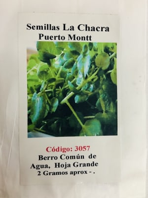 Berro Común de Agua Hoja Grande
