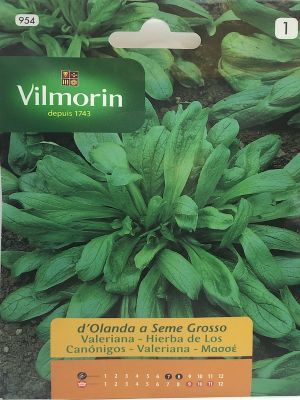 Valeriana Hierba de los Canónigos