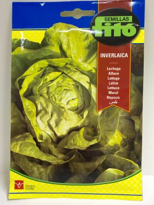 LECHUGA REPOLLADA INVERLAICA