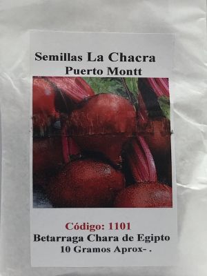 Betarraga Chata de Egipto 10 Gramos