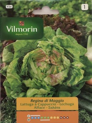 LECHUGA REINA DE MAYO 7 Gramos
