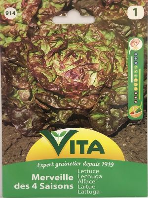LECHUGA MARAVILLA 4 ESTACIONES 3 GRAMOS