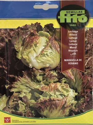 LECHUGA MARAVILLA DE VERANO 6 GRAMOS