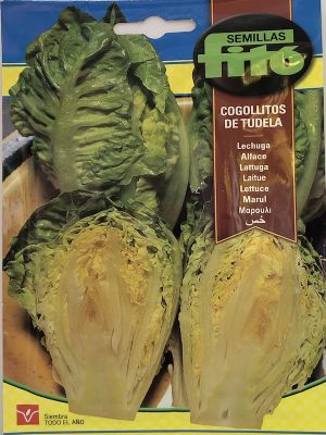 LECHUGA COGOLLITOS DE TUDELA