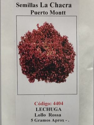 LECHUGA LOLLO ROSA 5 GRAMOS.