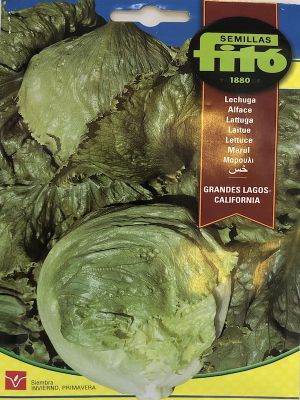 LECHUGA GRANDES LAGOS CALIFORNIA