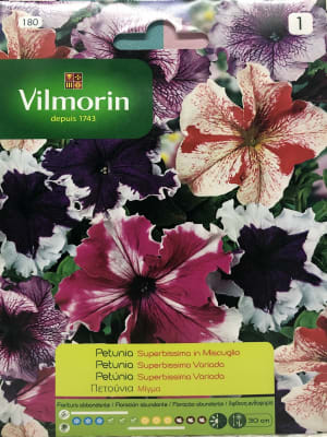 PETUNIA SUPERBISSIMA  VARIADA.