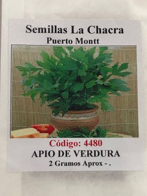 Apio de Verdura