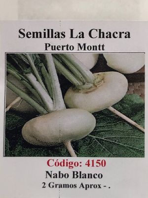 Nabo Blanco Redondo