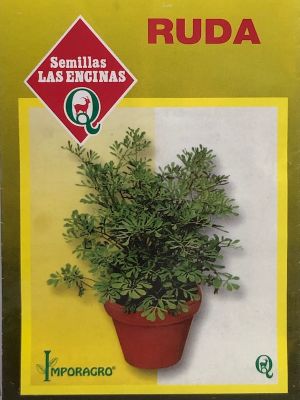 Ruda