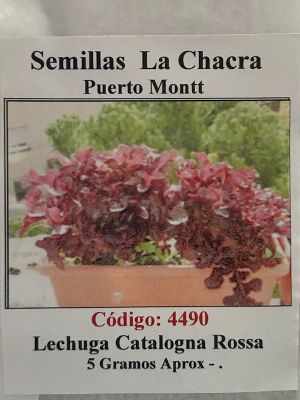 Lechuga Catalogna Rossa 5 Gramos