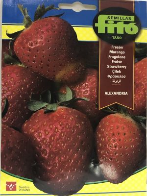 FRUTILLAS GRANDES, DULCE
