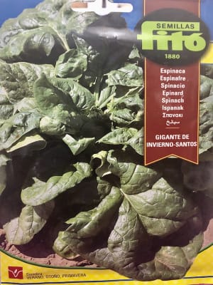 ESPINACA GIGANTE DE INVIERNO-SANTOS 20 GRAMOS