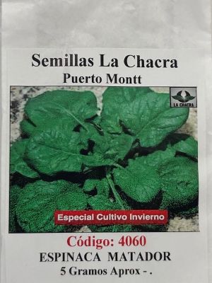 Espinaca Matador Invierno