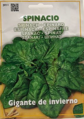 ESPINACA GIGANTE DE INVIERNO 15 Gamos