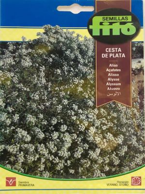 ALISO CESTA DE PLATA
