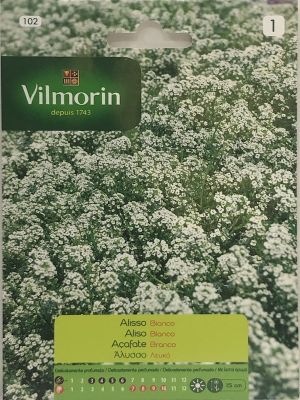 ALISO BLANCO (102)