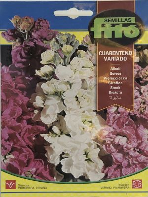 ALHELI CUARENTENO VARIADO