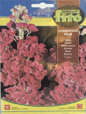 ALHELI CUARENTENO ROJO