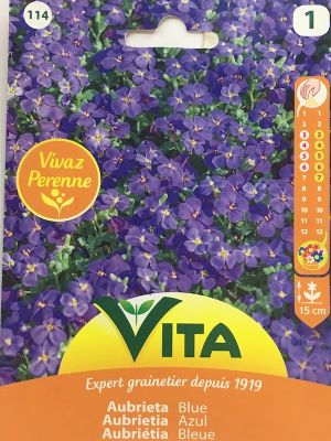 AUBRIETIA  AZUL