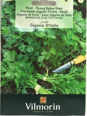 PEREJIL GIGANTE DE ITALIA. 4 GRAMOS